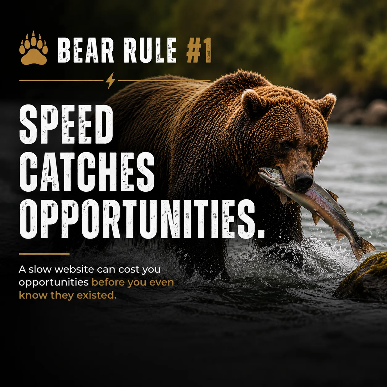 Bear Rule #1: Speed Catches Opportunities — a grizzly bear catching a fish in a river