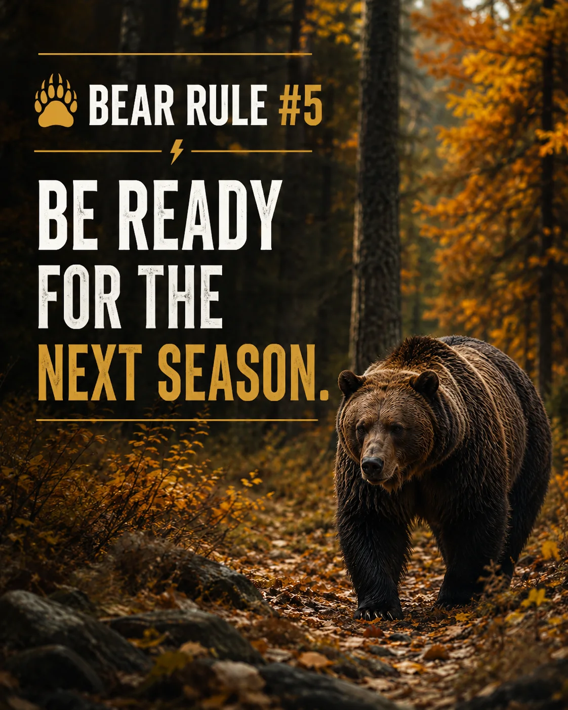 Bear Rule #5: Be Ready for the Next Season